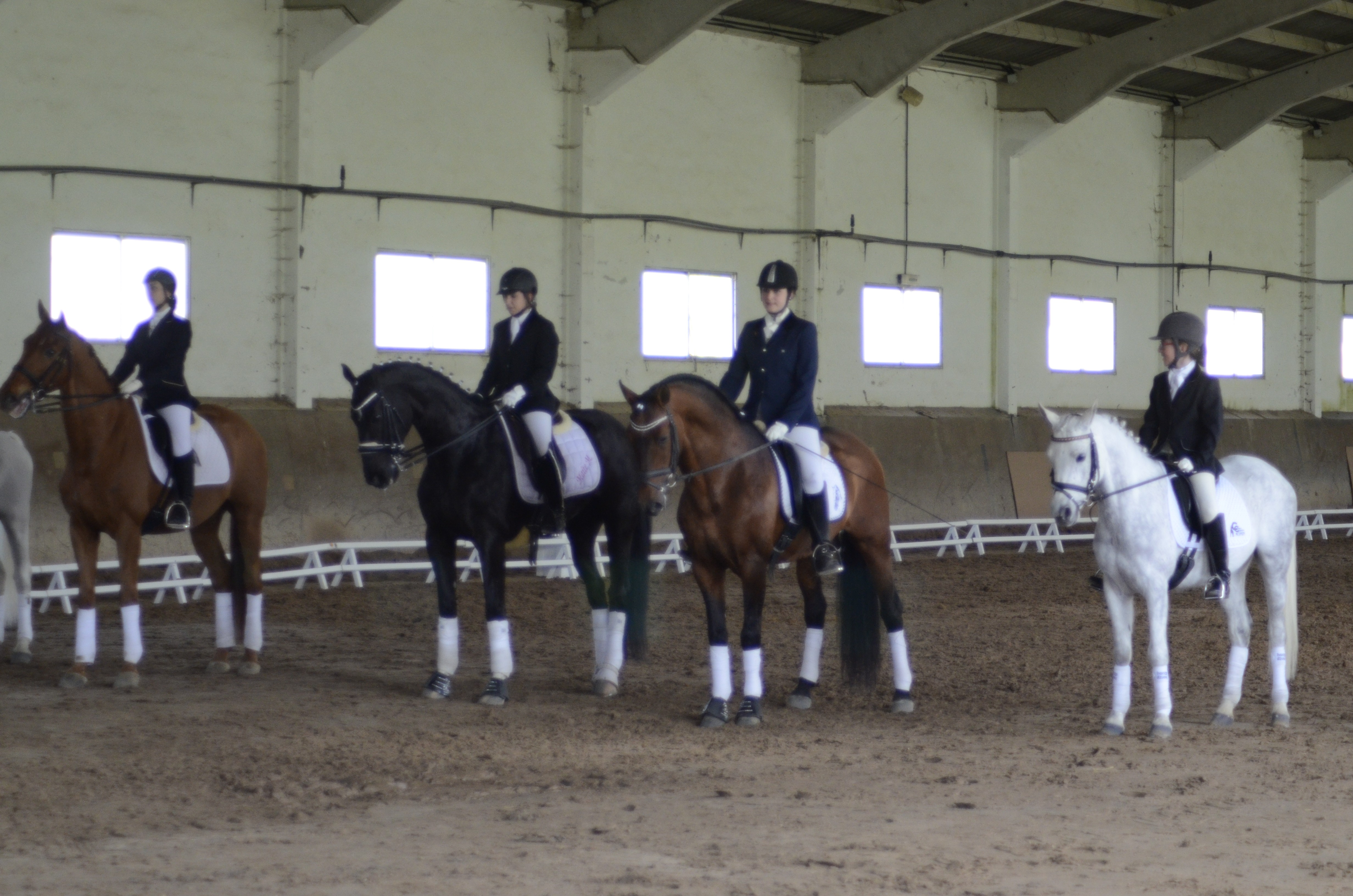 Clasificación 2ª fase Liga Navarra Doma Clásica Niveles 1-5 y JJDD 2014